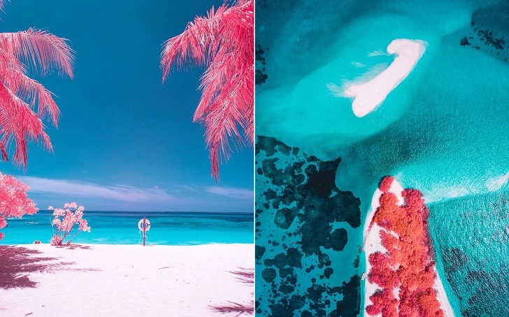 99449C455CFF9195047FC9