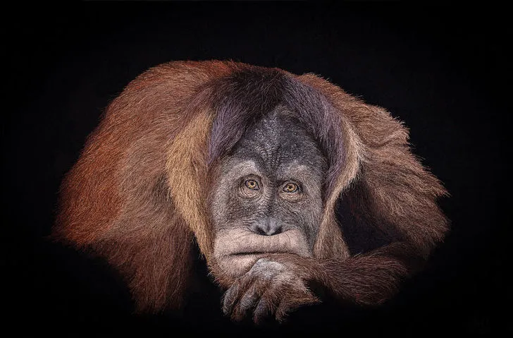 9982C04C5F1FC0B9242D59