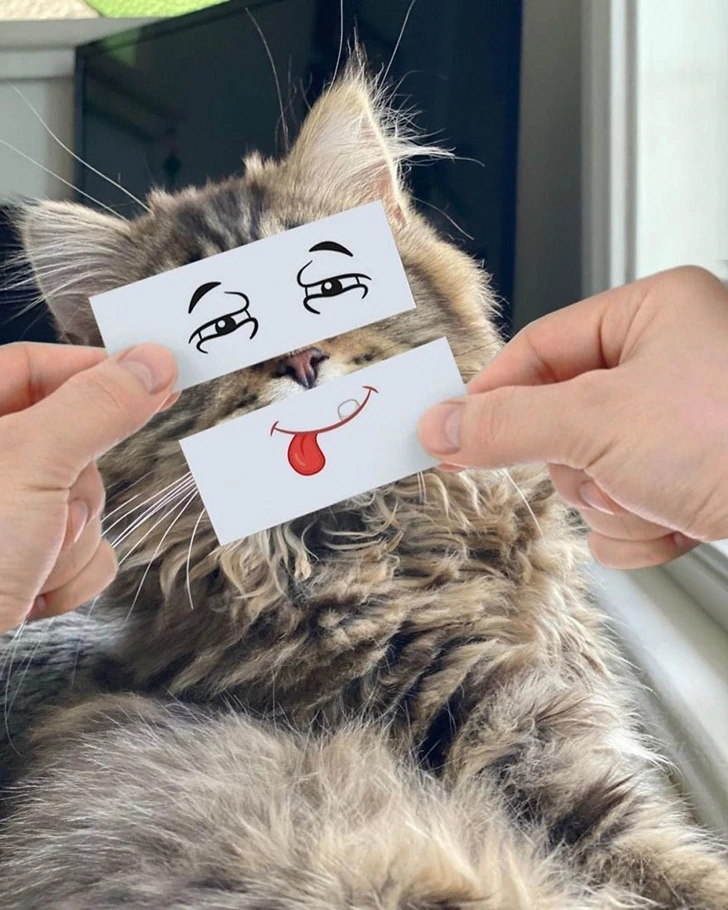 990214505F4D860B0EC173