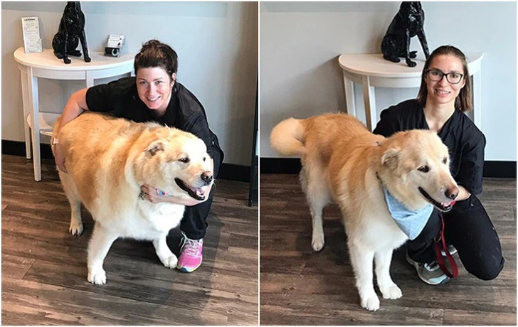 992334495F3BAB5C0CD196