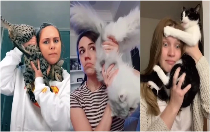 99180F3C5F1D4BFF25B1EF