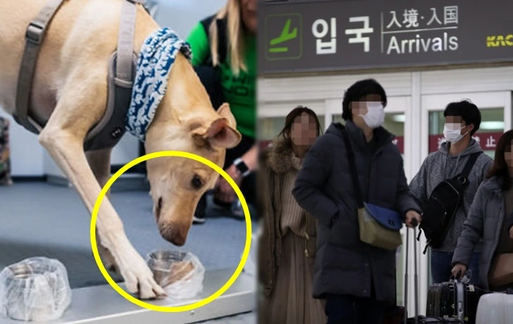 994019395F6ECCF91FECF1