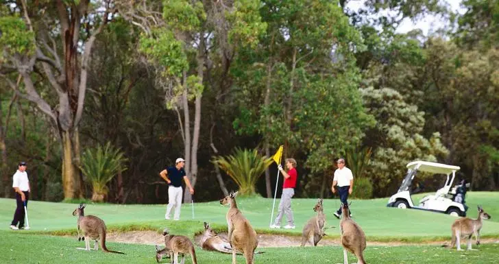 993C60445D0723AB188225