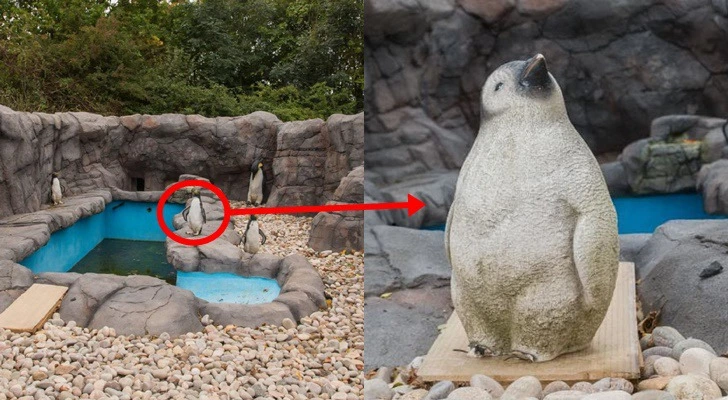 99D2F7375D662B3A2C6882