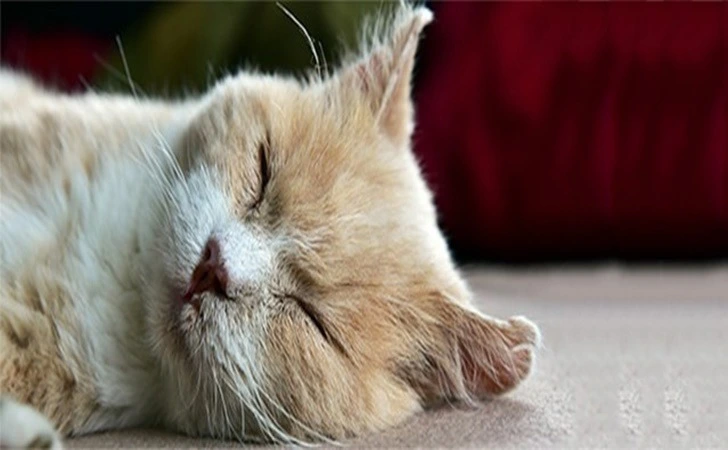 994866475FE29DE711AA24