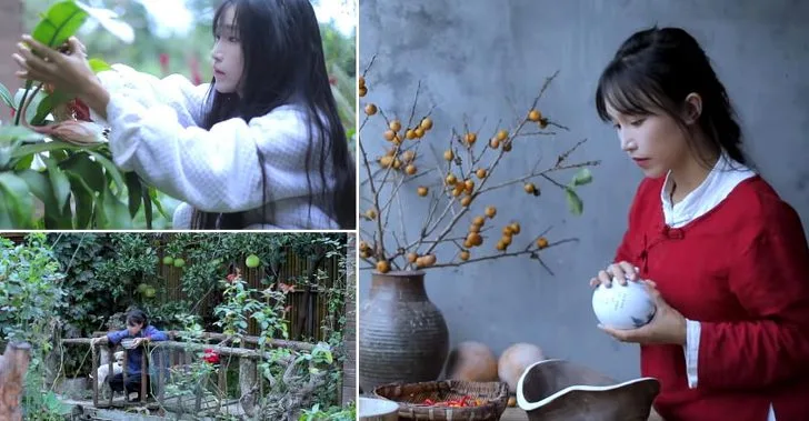 995049395DF2414B1B8B36