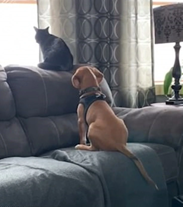 996E203D5FD8099B0A5DB7