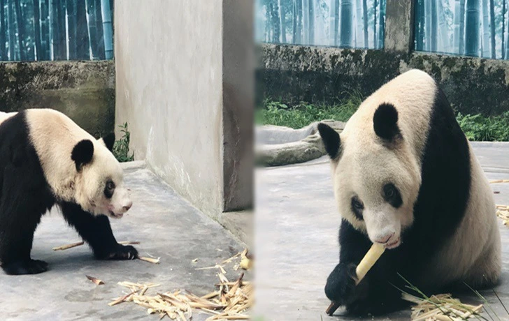 993ADF425F3C79641FBFFB