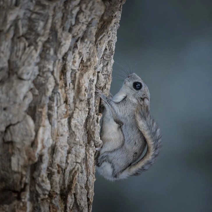 99F3A83F5F4F08CE290AE7