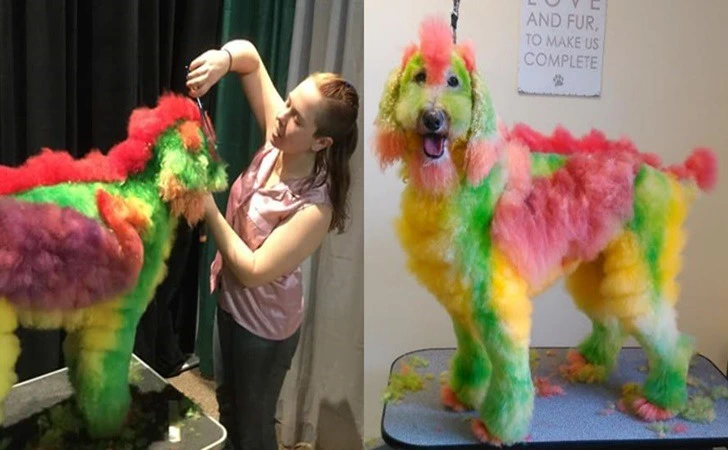 9953F1365FD2C6030B5D8B