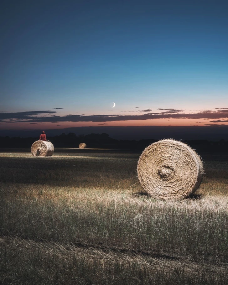 9966FF3F5F5024C60E353D