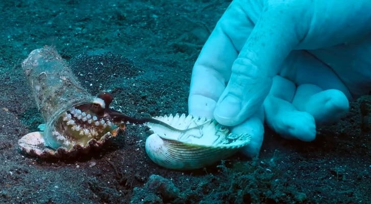 997366335FC9AEEF1340CA