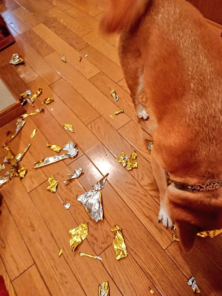 995CDF465FF51E89101CAF