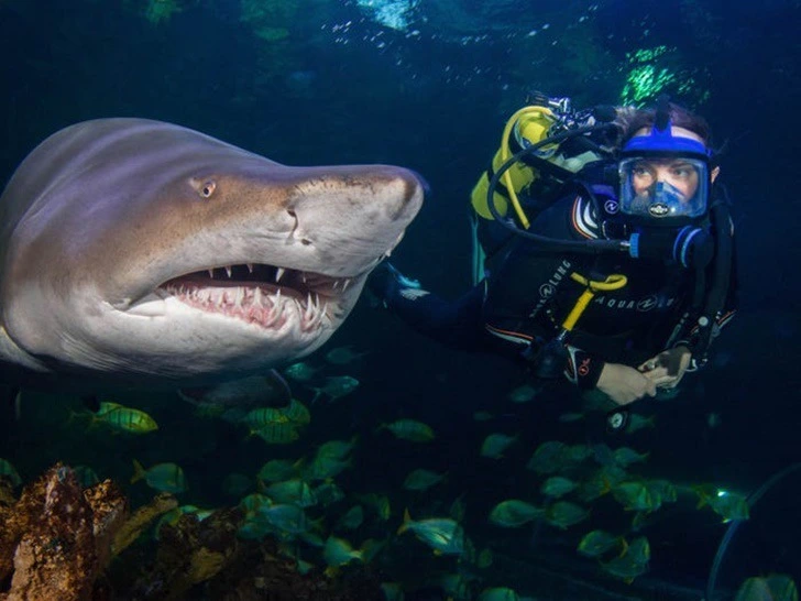 9955F5445F22256D22DF28