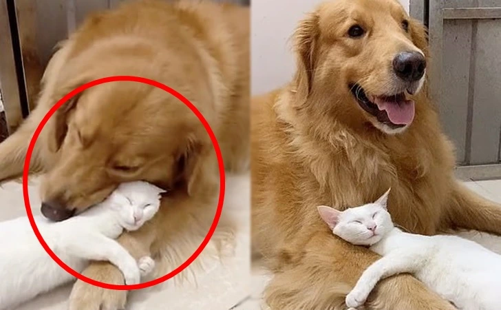 99A7BC425FD5A4401AD56C