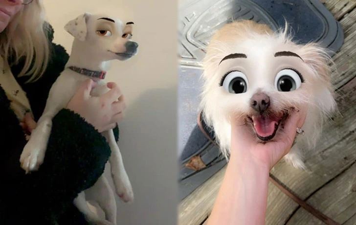 997BDC4C5F2FFF5B14CA5C