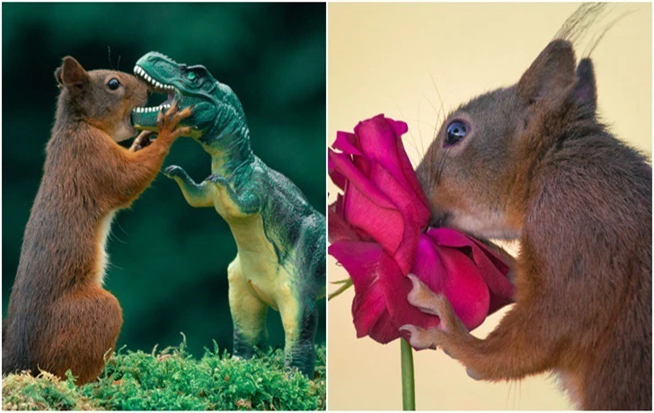 995DC2485F44C99A28A627