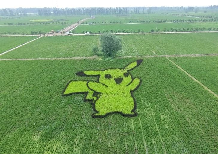 99EFA4375F2497FE0993F6