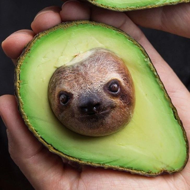 997561385F222EC321B4D0