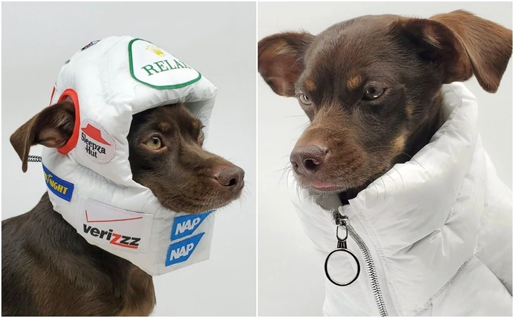 994E11395FEFBE54091125