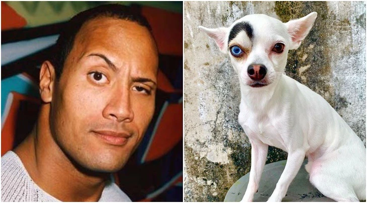 99C00C3F5D595B890A8DB1