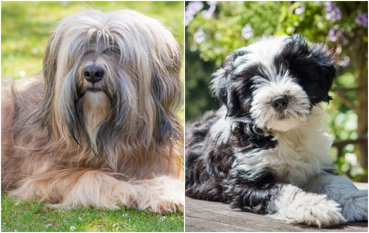 999CA14A5F71AB3F1E5647