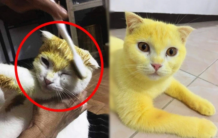 99C88B405F45EAC405E8CC