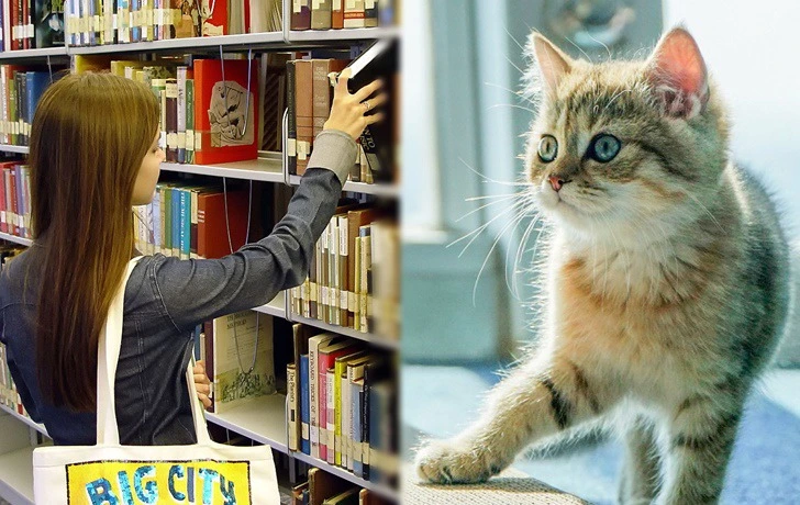 99A6C5435F3A6E7607FC6C