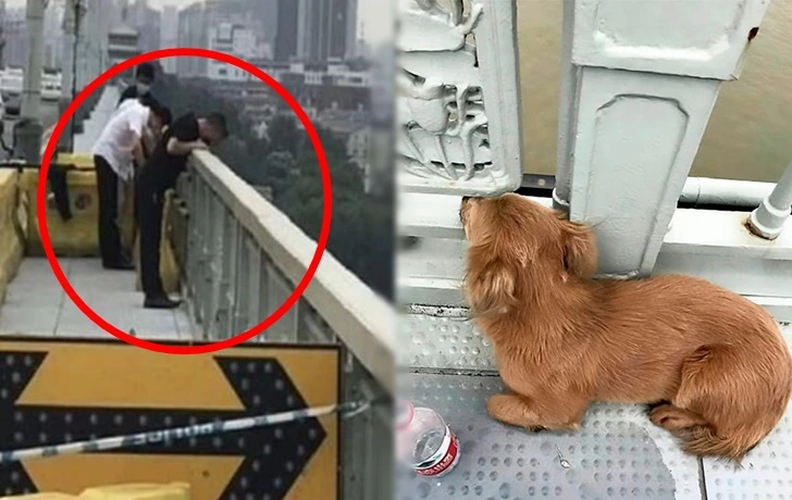 99EE094A5F841723192E6A