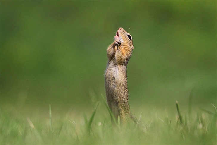 993107335F5C03550F816D