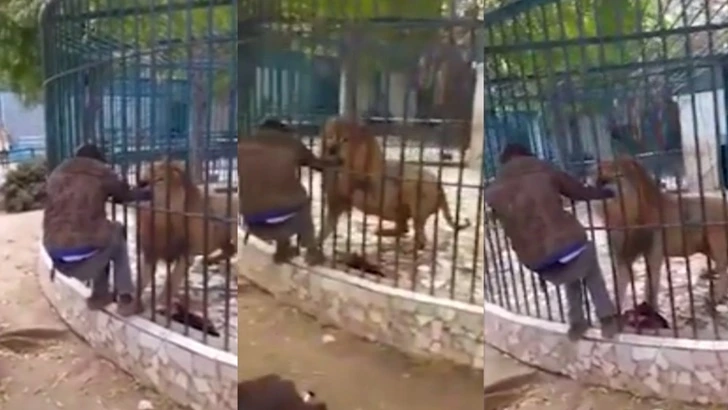 996FC8455FD69B530C939D