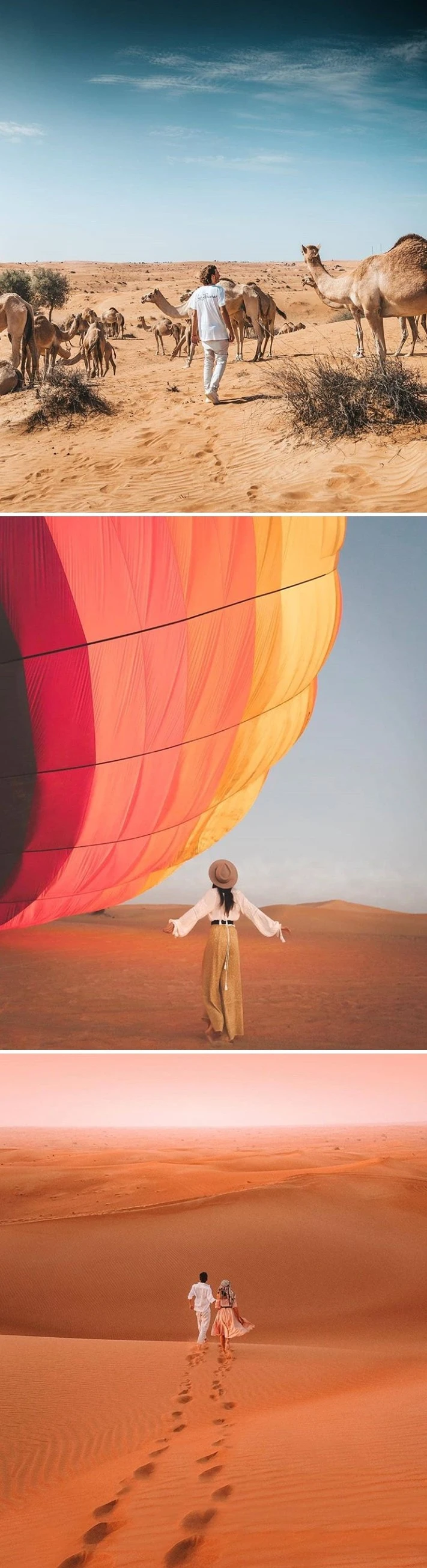 9921FF355C6056C8127DD3