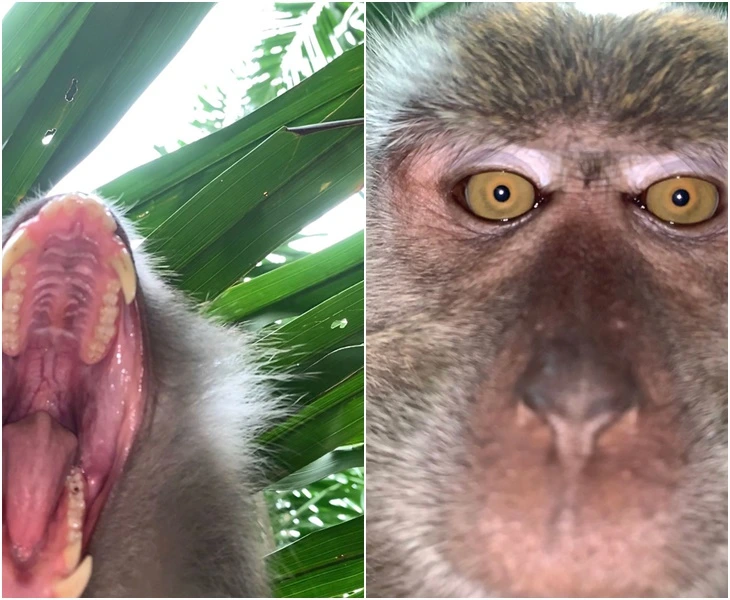 9916C83F5F62CBFF26B710