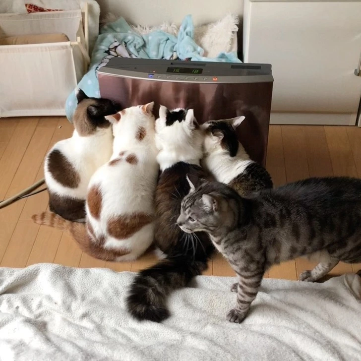 99709B48601757BB0BBDE6