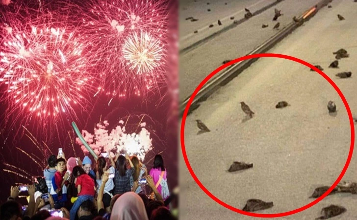 995FE74F5FF1696A1BCA41