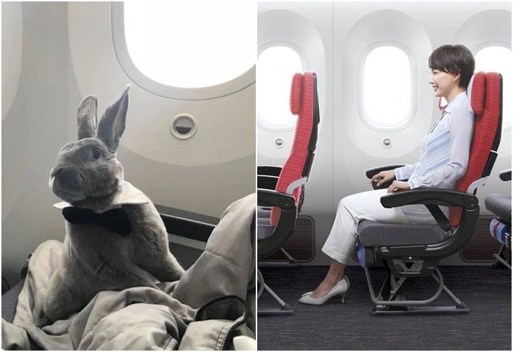 99F9F74A5E23DEC2483791