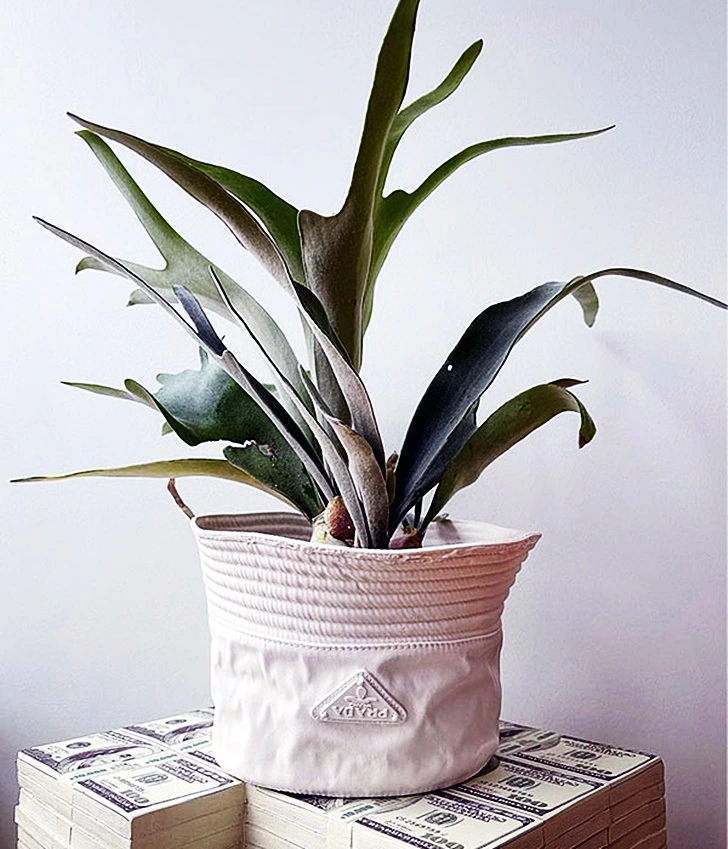 9918104A5FD476CF1D0EDD