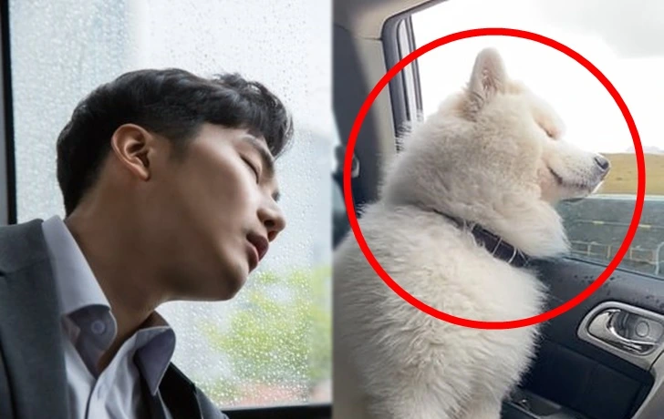 99A55E415FD008360C52C8