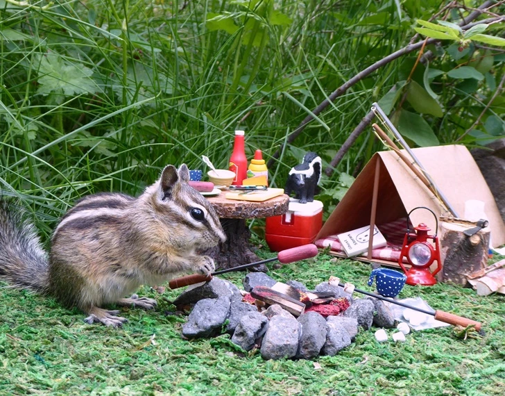 9988793F5FC2E6EE0DAA99