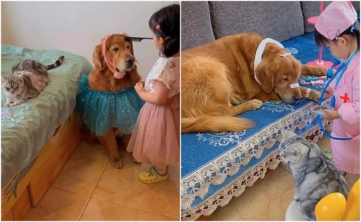 99EE054B5FD47DF11ECDF9