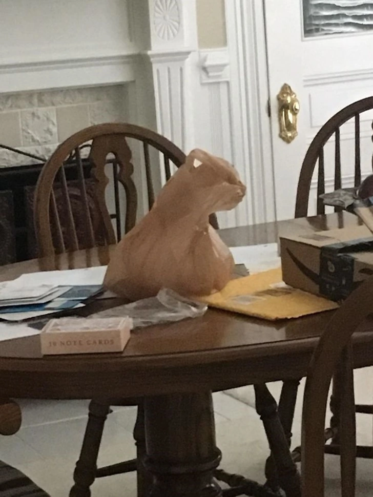 993F07345F3FC87E0CAABC