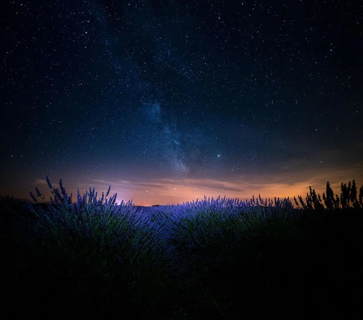 99730A335D62830109393D