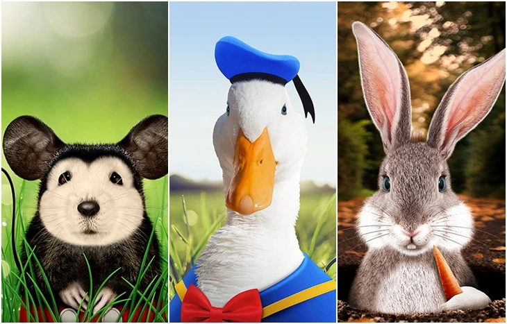 99C49F375FC0B2F92D8CC3