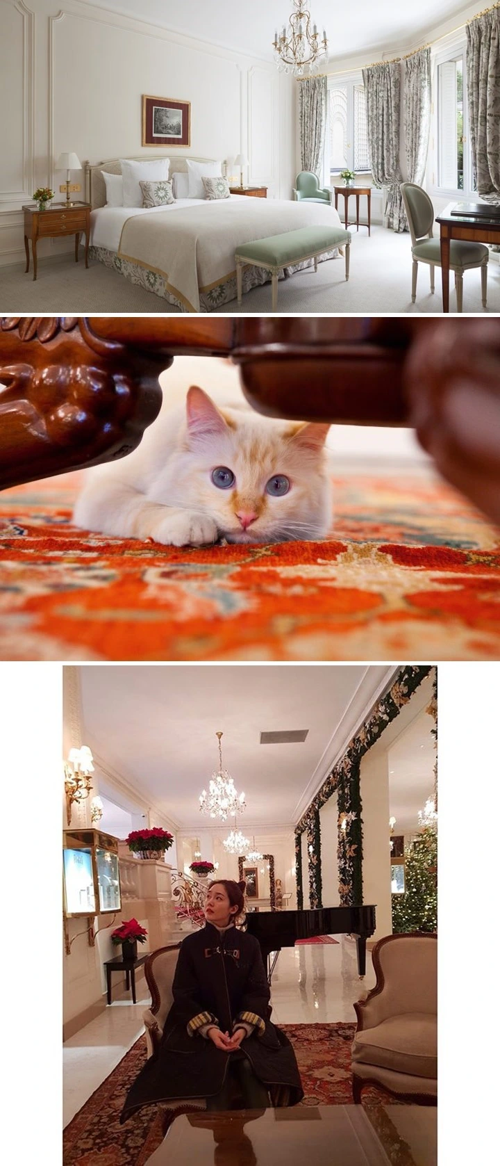 99C9404E5C84DCB216DC43