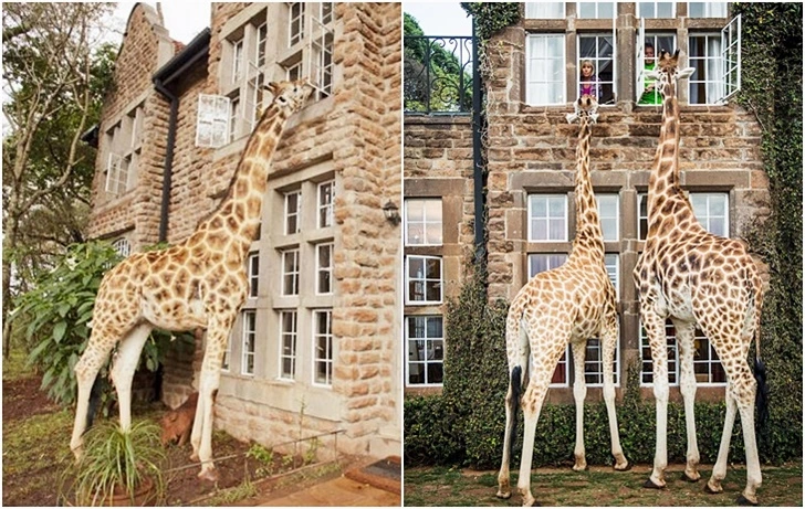 99899E4660025FB8092184