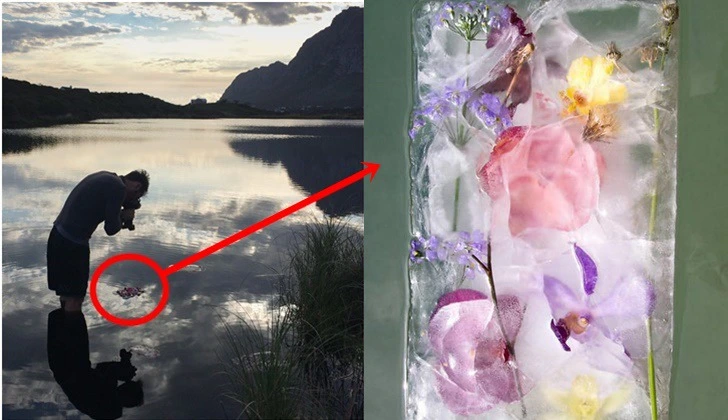 991F13405D88368C19F9E5