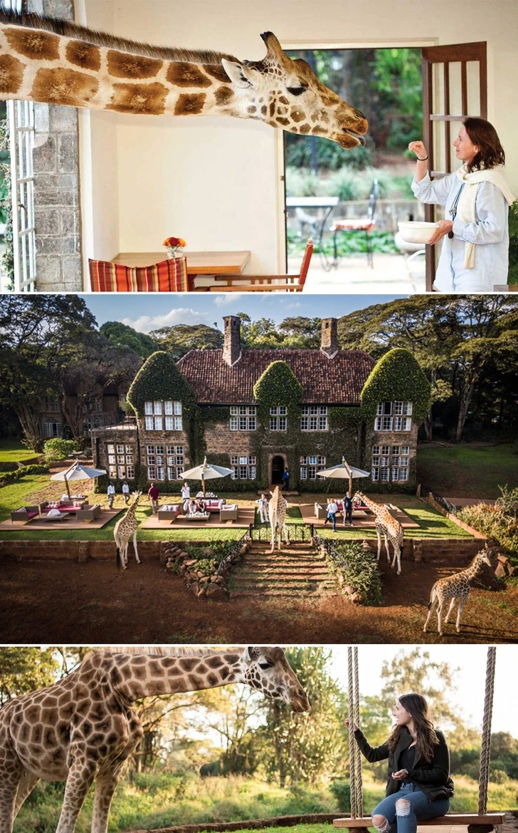 99CE7F4C5C64CA8106C959