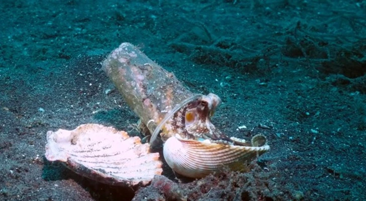 99A9E9485FC9AEEF13D16A