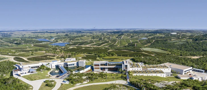 9965B4335D2AD5921F1347