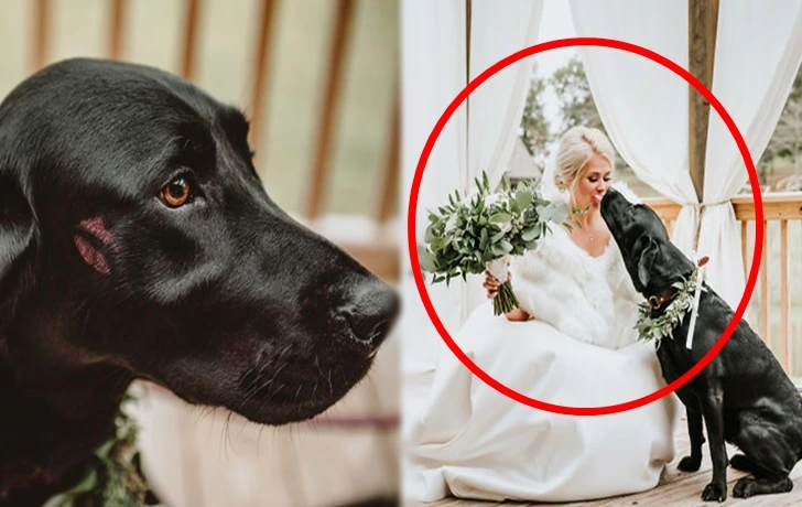 99977F4D5FAF32EE0D2667